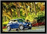 Cooper F56, Palmy, Mini, Droga