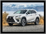 Lexus NX 300h, Góry